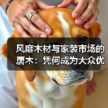 风靡木材与家装市场的唐木:凭何成为大众优选材种?(图4) 风靡木材与家装市场的唐木:凭何成为大众优选材种?(图4)