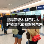 世界最轻木材巴沙木:轻如鸿毛却撑起风电产业半边天(图4) 世界最轻木材巴沙木:轻如鸿毛却撑起风电产业半边天(图4)