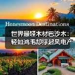 世界最轻木材巴沙木:轻如鸿毛却撑起风电产业半边天(图1) 世界最轻木材巴沙木:轻如鸿毛却撑起风电产业半边天(图1)