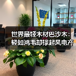 世界最轻木材巴沙木:轻如鸿毛却撑起风电产业半边天(图2) 世界最轻木材巴沙木:轻如鸿毛却撑起风电产业半边天(图2)