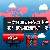 一文分清大巴花与小巴花!核心区别解析,采购避坑必看(图1) 一文分清大巴花与小巴花!核心区别解析,采购避坑必看(图1)