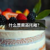 什么是熏蒸托箱？（图4）
