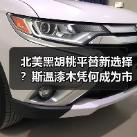 北美黑胡桃平替新选择?斯温漆木凭何成为市场新宠(图2) 北美黑胡桃平替新选择?斯温漆木凭何成为市场新宠(图2)