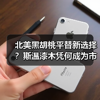 北美黑胡桃平替新选择?斯温漆木凭何成为市场新宠(图4) 北美黑胡桃平替新选择?斯温漆木凭何成为市场新宠(图4)