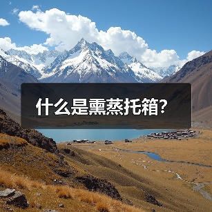 什么是熏蒸托箱？（图1）