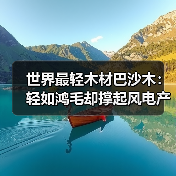世界最轻木材巴沙木:轻如鸿毛却撑起风电产业半边天(图4) 世界最轻木材巴沙木:轻如鸿毛却撑起风电产业半边天(图4)