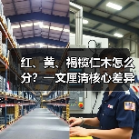 红、黄、褐榄仁木怎么分？一文厘清核心差异与应用边界（图4）