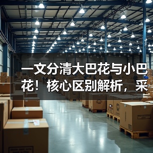 一文分清大巴花与小巴花!核心区别解析,采购避坑必看(图3) 一文分清大巴花与小巴花!核心区别解析,采购避坑必看(图3)