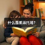 什么是熏蒸托箱？（图2）