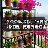 拒绝跟风装修,16种风格任选,竟意外走红全网!(图4) 拒绝跟风装修,16种风格任选,竟意外走红全网!(图4)