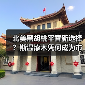 北美黑胡桃平替新选择?斯温漆木凭何成为市场新宠(图1) 北美黑胡桃平替新选择?斯温漆木凭何成为市场新宠(图1)