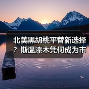 北美黑胡桃平替新选择?斯温漆木凭何成为市场新宠(图2) 北美黑胡桃平替新选择?斯温漆木凭何成为市场新宠(图2)