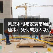风靡木材与家装市场的唐木:凭何成为大众优选材种?(图3) 风靡木材与家装市场的唐木:凭何成为大众优选材种?(图3)