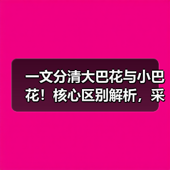 一文分清大巴花与小巴花！核心区别解析，采购避坑必看（图3）