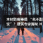 木材防腐等级 “名不副实”？建筑专家揭秘 H3 失效背后的设计危机（图2）