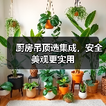 厨房吊顶选集成,安全美观更实用(图3) 厨房吊顶选集成,安全美观更实用(图3)