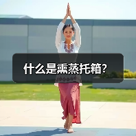 什么是熏蒸托箱？（图1）
