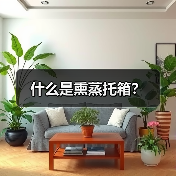 什么是熏蒸托箱？（图4）