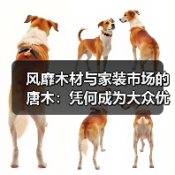 风靡木材与家装市场的唐木:凭何成为大众优选材种?(图2) 风靡木材与家装市场的唐木:凭何成为大众优选材种?(图2)