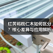 红黄褐榄仁木如何区分?核心差异与应用解析(图2) 红黄褐榄仁木如何区分?核心差异与应用解析(图2)