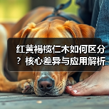 红黄褐榄仁木如何区分?核心差异与应用解析(图1) 红黄褐榄仁木如何区分?核心差异与应用解析(图1)