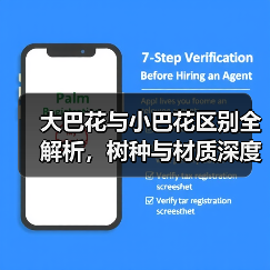 大巴花与小巴花区别全解析,树种与材质深度对比(图2) 大巴花与小巴花区别全解析,树种与材质深度对比(图2)