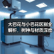 大巴花与小巴花区别全解析,树种与材质深度对比(图3) 大巴花与小巴花区别全解析,树种与材质深度对比(图3)