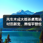 风车木成大板茶桌高端材质新宠,黑檀平替优选(图3) 风车木成大板茶桌高端材质新宠,黑檀平替优选(图3)