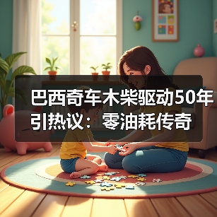 巴西奇车木柴驱动50年引热议:零油耗传奇(图4) 巴西奇车木柴驱动50年引热议:零油耗传奇(图4)