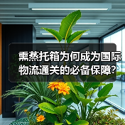 熏蒸托箱为何成为国际物流通关的必备保障？（图4）