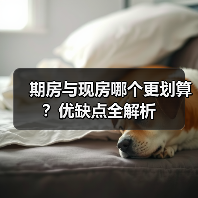 期房与现房哪个更划算?优缺点全解析(图1) 期房与现房哪个更划算?优缺点全解析(图1)