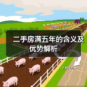 二手房满五年的含义及优势解析(图3) 二手房满五年的含义及优势解析(图3)