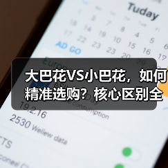 大巴花VS小巴花，如何精准选购？核心区别全解析（图2）