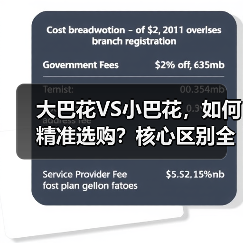 大巴花VS小巴花，如何精准选购？核心区别全解析（图3）