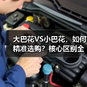 大巴花VS小巴花，如何精准选购？核心区别全解析（图4）