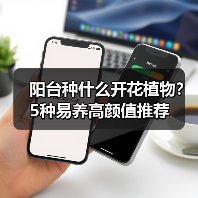 阳台种什么开花植物？5种易养高颜值推荐（图4）