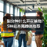 阳台种什么开花植物？5种易养高颜值推荐（图1）
