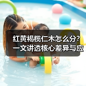 红黄褐榄仁木怎么分？一文讲透核心差异与应用技巧（图4）