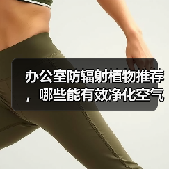 办公室防辐射植物推荐，哪些能有效净化空气？（图3）