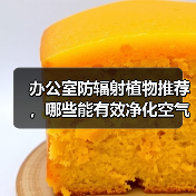 办公室防辐射植物推荐，哪些能有效净化空气？（图2）