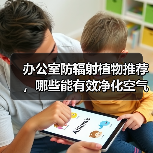 办公室防辐射植物推荐，哪些能有效净化空气？（图4）