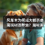 风车木为何成大板茶桌高端材质新宠?揭秘黑檀平替优选(图2) 风车木为何成大板茶桌高端材质新宠?揭秘黑檀平替优选(图2)