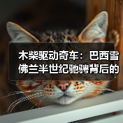 木柴驱动奇车:巴西雪佛兰半世纪驰骋背后的故事(图3) 木柴驱动奇车:巴西雪佛兰半世纪驰骋背后的故事(图3)