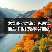 木柴驱动奇车:巴西雪佛兰半世纪驰骋背后的故事(图2) 木柴驱动奇车:巴西雪佛兰半世纪驰骋背后的故事(图2)