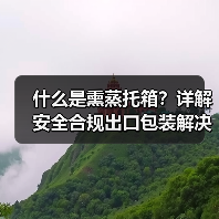 什么是熏蒸托箱?详解安全合规出口包装解决方案(图2) 什么是熏蒸托箱?详解安全合规出口包装解决方案(图2)