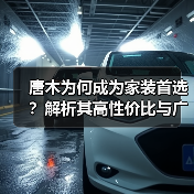 唐木为何成为家装首选?解析其高性价比与广泛应用场景(图3) 唐木为何成为家装首选?解析其高性价比与广泛应用场景(图3)