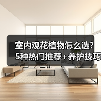 室内观花植物怎么选?5种热门推荐+养护技巧(图2) 室内观花植物怎么选?5种热门推荐+养护技巧(图2)