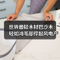 世界最轻木材巴沙木：轻如鸿毛却撑起风电产业半边天（图4）