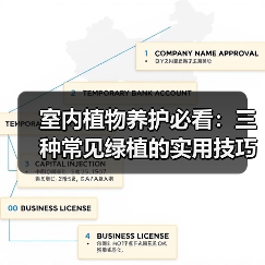 室内植物养护必看:三种常见绿植的实用技巧(图2) 室内植物养护必看:三种常见绿植的实用技巧(图2)