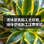 液体壁纸施工全攻略,液体壁纸施工注意事项(图4) 液体壁纸施工全攻略,液体壁纸施工注意事项(图4)